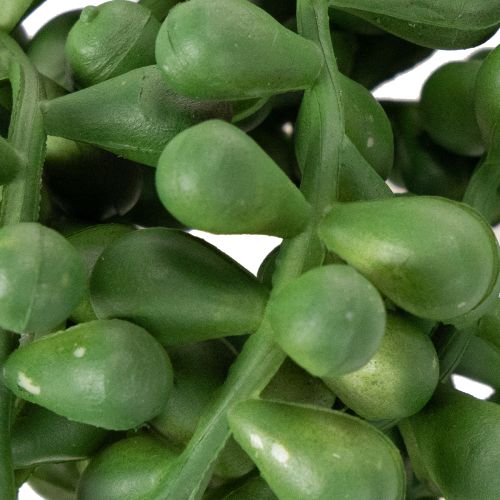 Artificial plant hanging garland succulent decoration living room | Floristik24.ie
