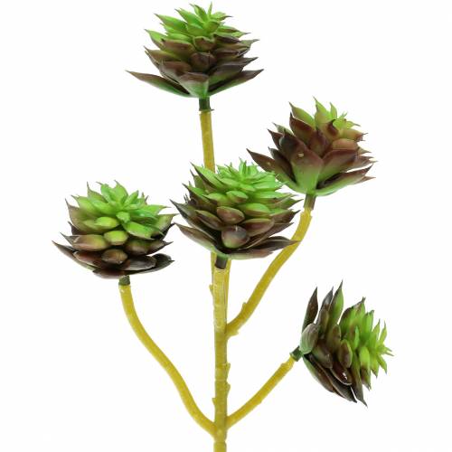 Succulent pick green / brown 35.5cm