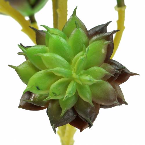 Product Succulent pick green / brown 35.5cm