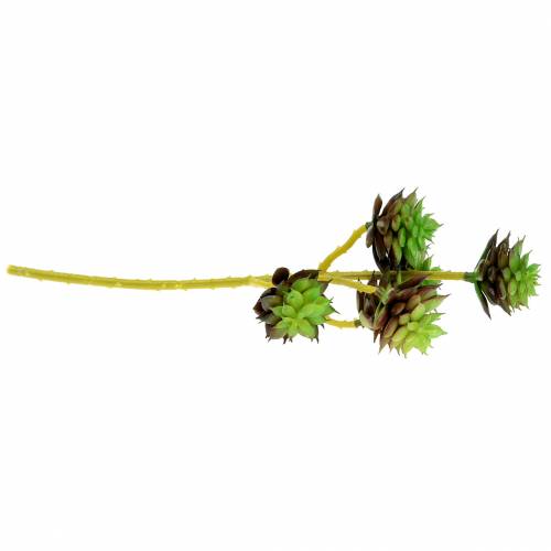 Product Succulent pick green / brown 35.5cm
