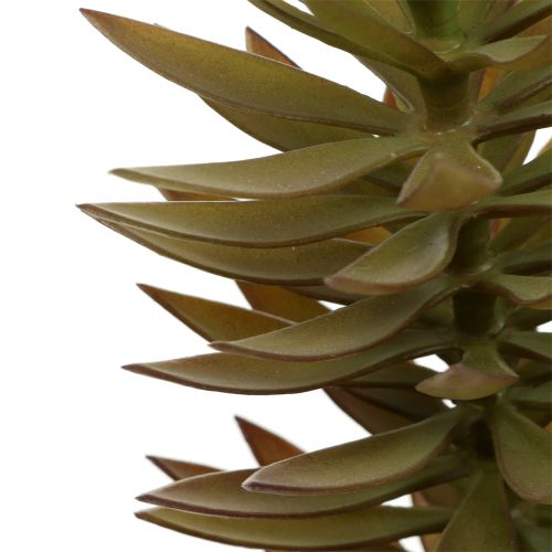 Product Succulent branch light brown green 48cm