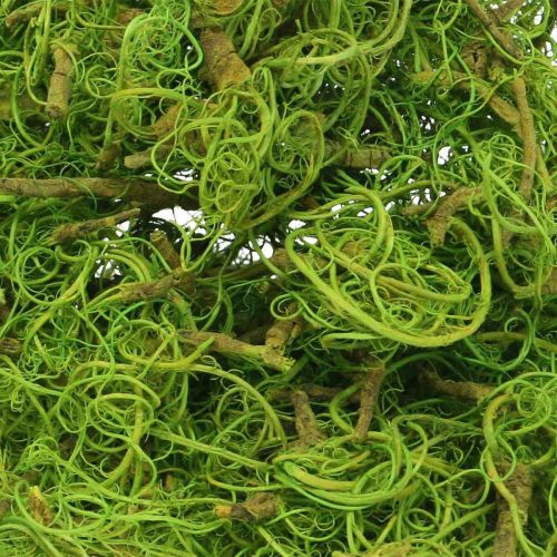 Product Tamarind Fiber Light Green Natural Fiber Crafting Decorating 500g Exotic DIY