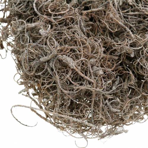 Product Natural whitewashed tamarind fiber 500g - Decorative fibers for floristry &amp; crafts