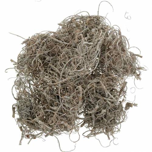 Product Natural whitewashed tamarind fiber 500g - Decorative fibers for floristry &amp; crafts