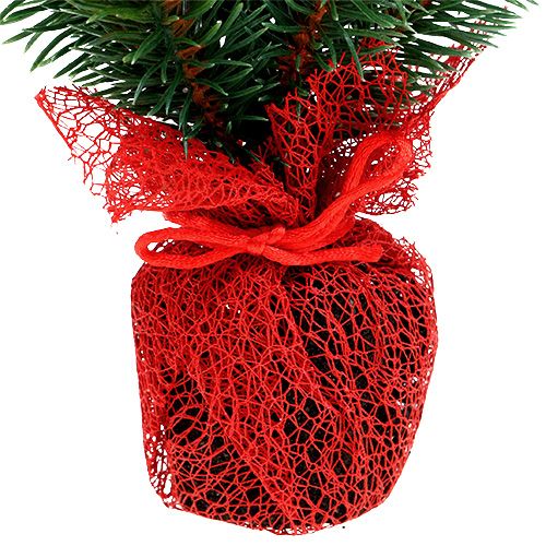 Floristik24 Fir 32cm with cones and bag red