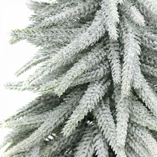 Floristik24 Winter fir in a pot, Christmas decoration, fir tree with snow H45cm