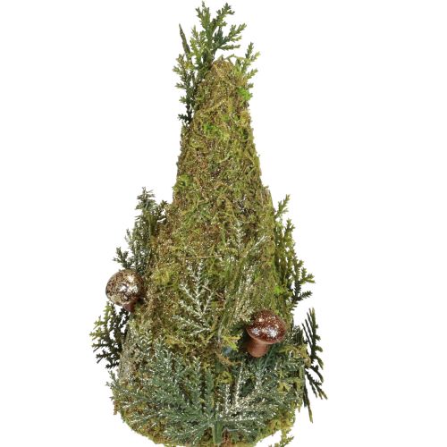 Floristik24 Fir tree decoration tree moss cones mushrooms green gold H35cm