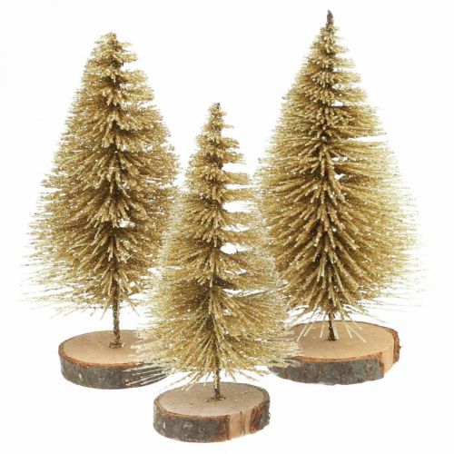 Floristik24 Mini fir trees table decoration gold Christmas decoration H7cm 6pcs