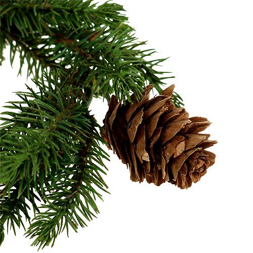 Floristik24 Fir wreath with cones Ø11cm 6pcs