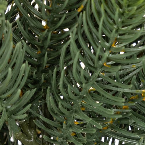 Artificial fir branch, festive window decoration, 50cm, 3 pieces | Floristik24.ie