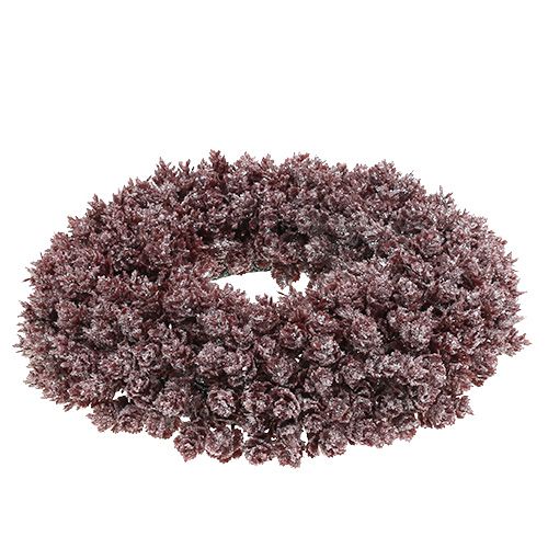 Floristik24 Pine cone wreath Ø25cm Burgundy iced