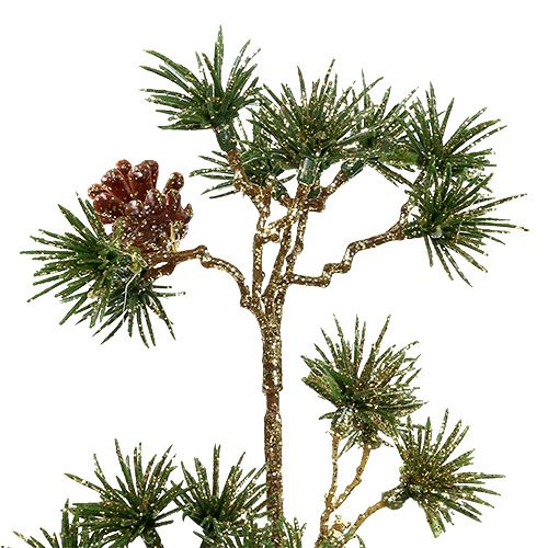 Floristik24 Fir branch green, gold glitter 46cm