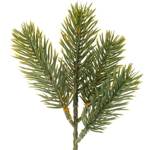 Artificial green fir branch for winter decorations, 25cm, 24 pieces buy online | Floristik24.ie