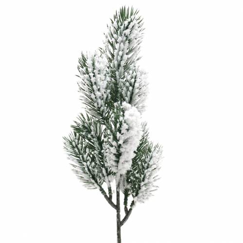 Floristik24 Fir branch green snow-covered 39cm 8 pcs