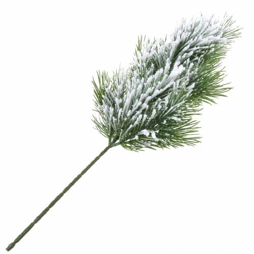 Floristik24 Pine branch green snow-covered 50cm