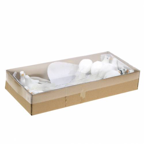 Floristik24 Pigeon pair on wire white 4-4.5cm 6 pairs