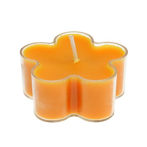 Floristik24 Tealight as a flower with scent 4.5x2cm 6pcs