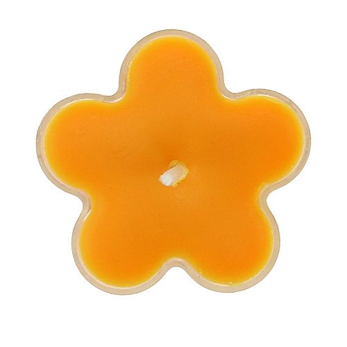 Floristik24 Tealight as a flower with scent 4.5x2cm 6pcs