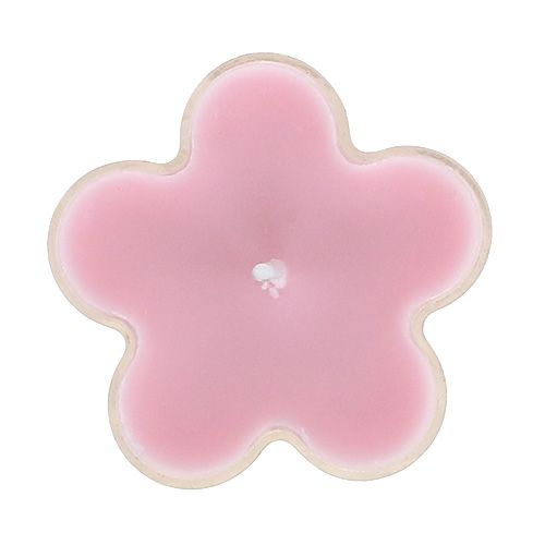 Floristik24 Tealight with scented flower 4,5x2cm 6pcs