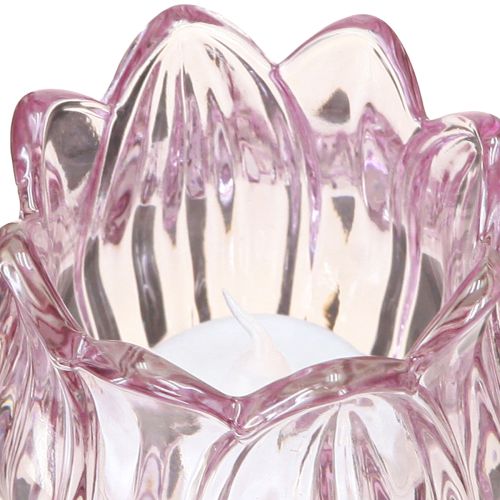Product Tealight glass tulip tealight holder glass purple Ø7cm H16cm 2pcs
