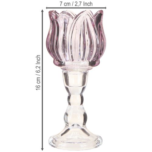 Product Tealight glass tulip tealight holder glass purple Ø7cm H16cm 2pcs