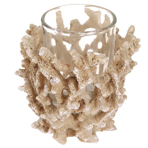 Floristik24 Tealight holder coral decoration maritime cream brown H9cm 2pcs