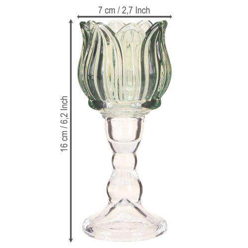 Product Tealight holder tulip glass tealight glass green Ø7cm H16cm 2pcs