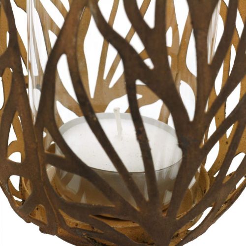Floristik24 Lantern rust look, tealight holder retro Ø13cm H30cm