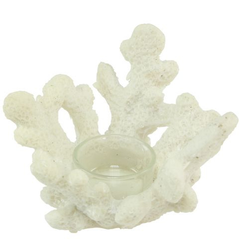 Tealight holder coral decorative cream maritime Ø12cm H8cm