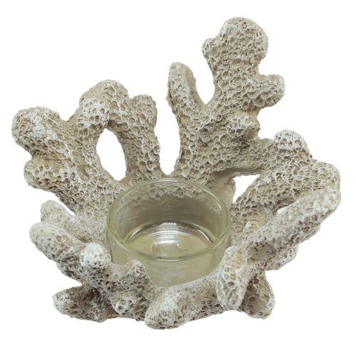 Tealight holder coral decoration maritime gray Ø12cm H8cm