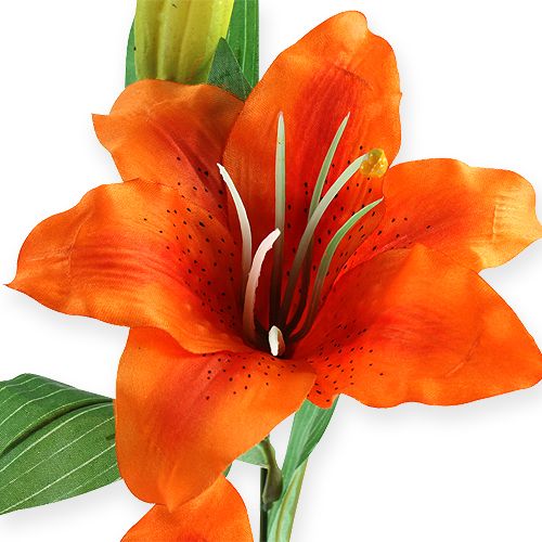 Floristik24 Tiger lily orange 47cm