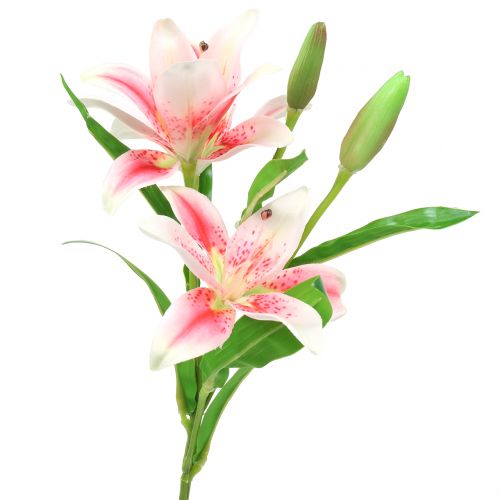 Floristik24 Tiger Lily Pink, White 60cm