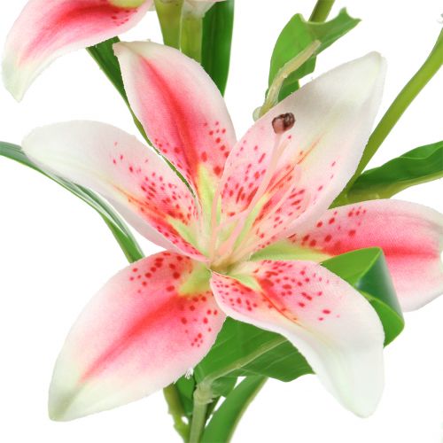 Floristik24 Tiger Lily Pink, White 60cm