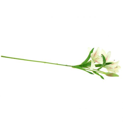 Floristik24 Tiger Lily Cream 60cm