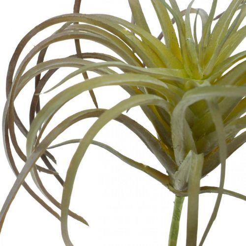 Floristik24 Tillandsia artificial to stick green-purple artificial plant 13cm