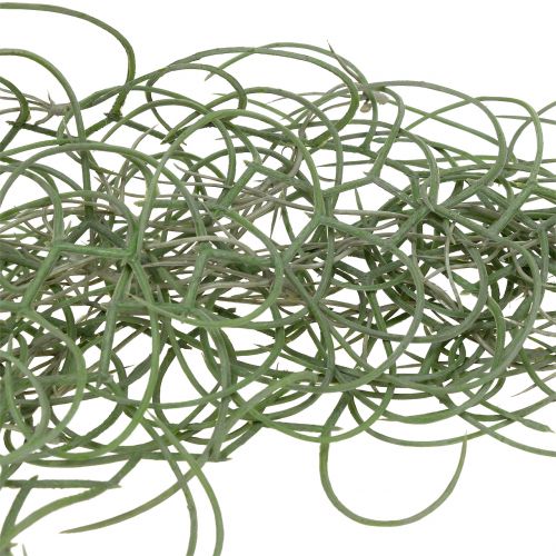 Floristik24 Tillandsia artificial gray 130cm