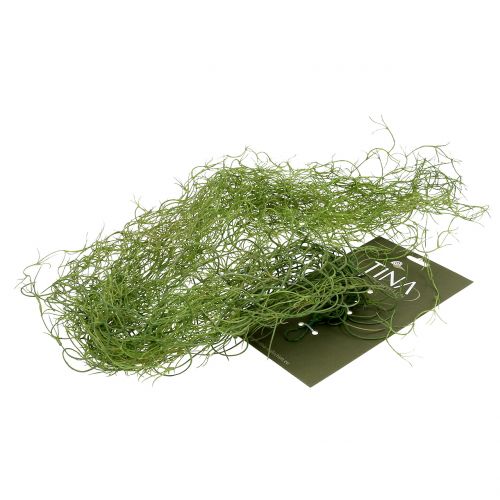 Floristik24 Tillandsia artificial green 130cm