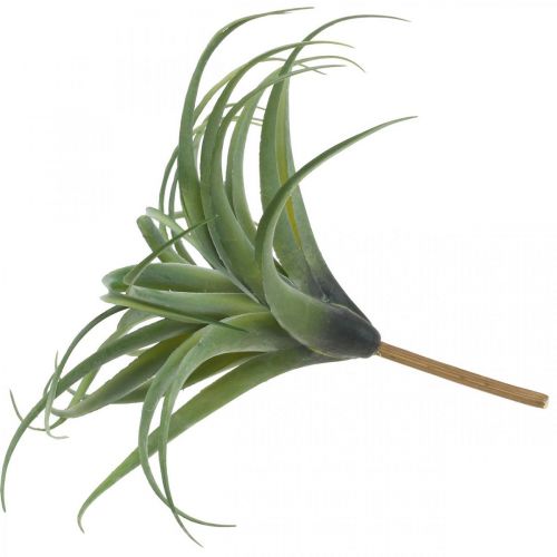 Floristik24 Deco Tillandsia artificial artificial plant to stick green Ø45cm
