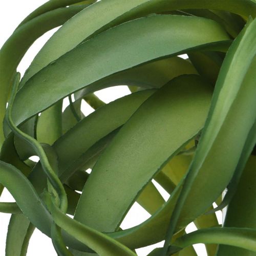 Floristik24 Tillandsia Artificial green plant to stick Large Green Ø40cm