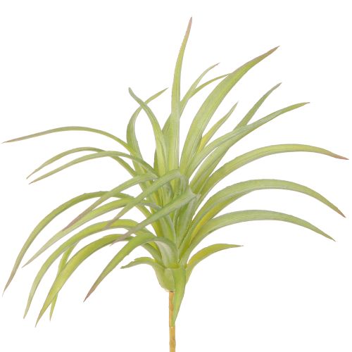 Tillandsia Green Artificial Plants with Stick Ø17cm 3 Pcs