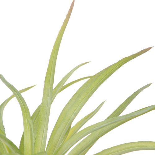 Product Tillandsia Green Artificial Plants with Stick Ø17cm 3 Pcs