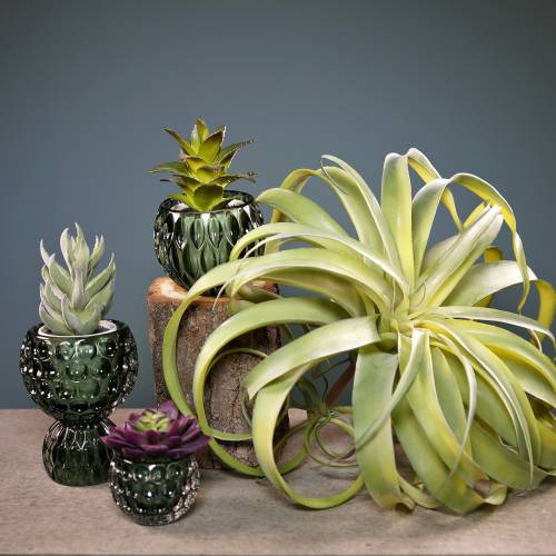 Floristik24 Tillandsia artificial to stick light green artificial plant 30cm