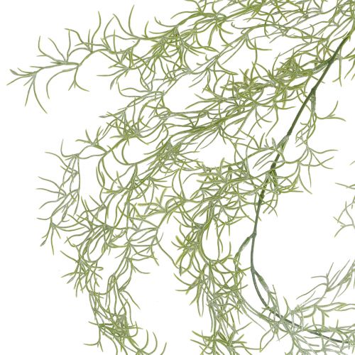 Floristik24 Tillandsia hanger green 160cm