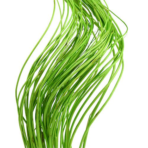 Floristik24 Ting Ting Curly 60cm Green 40 pcs