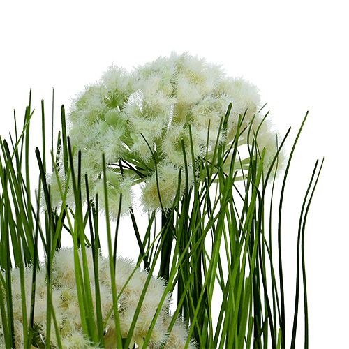 Floristik24 Table decoration decorative grass in a pot green 30cm