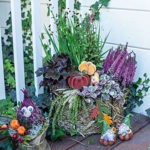 Floristik24 Table decoration autumn decoration pumpkins orange brown Ø6.5cm 9pcs