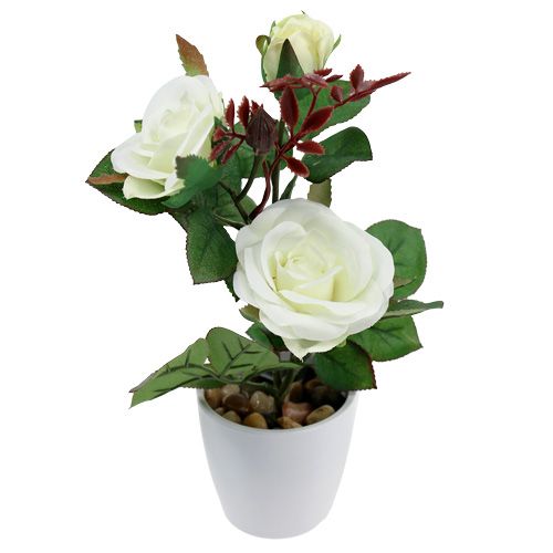 Floristik24 Table decoration rose in a pot white 24cm