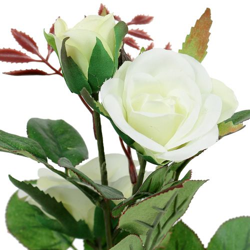 Floristik24 Table decoration rose in a pot white 24cm