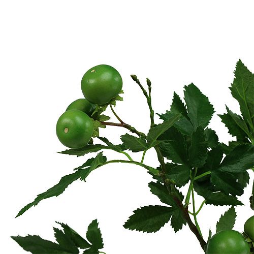 Floristik24 Tomato branch L60cm green