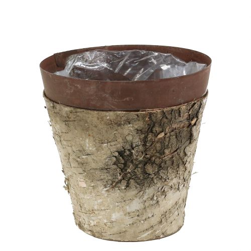 Floristik24 Decorative pot with birch Ø15cm H14.5cm 1p